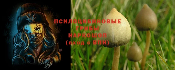 экстази Белокуриха