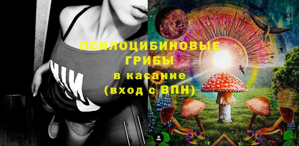 экстази Белокуриха