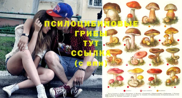 спиды Белоозёрский