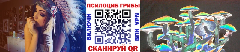 Псилоцибиновые грибы мухоморы  МЕГА онион  Железноводск 